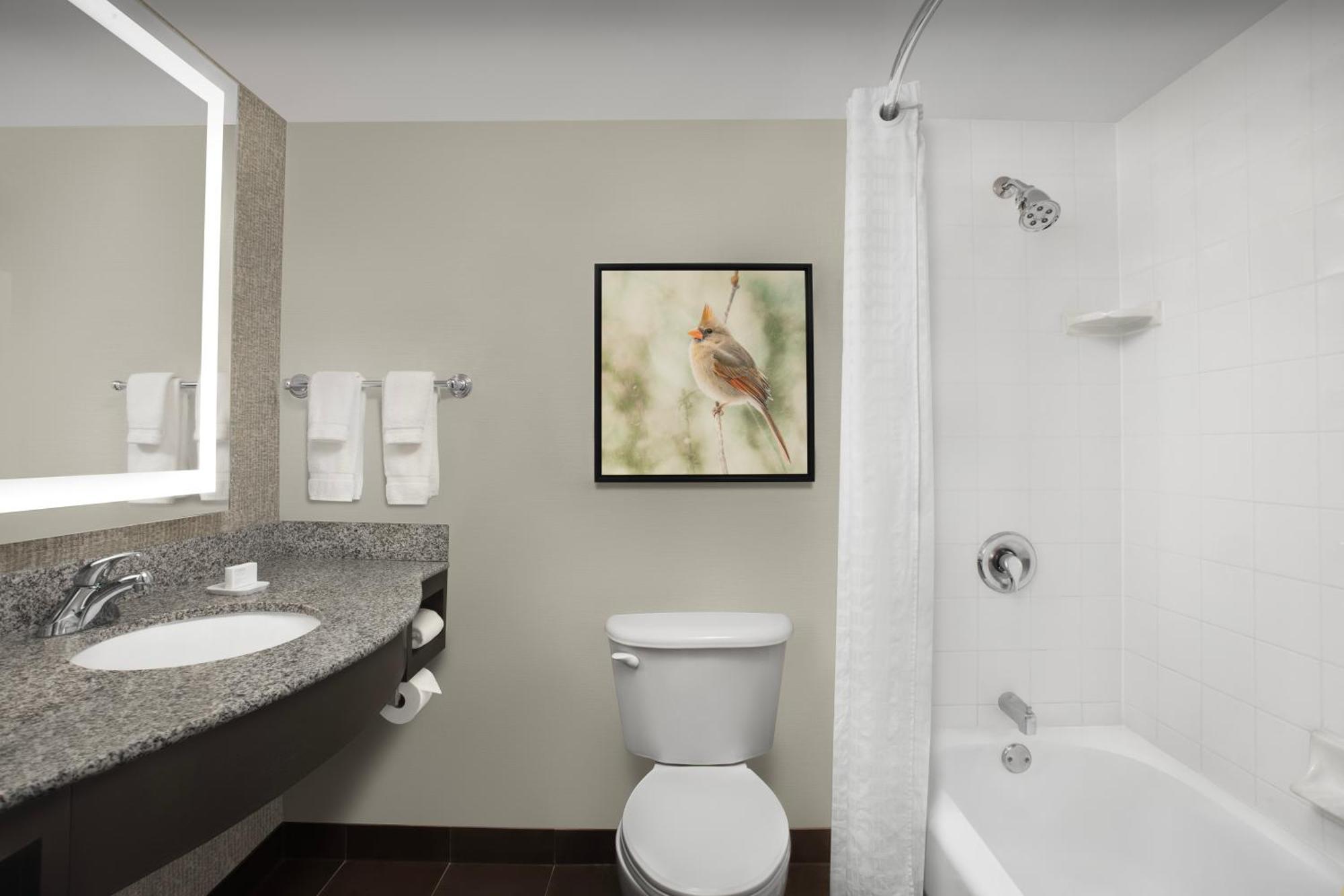 Hilton Garden Inn Хофман Истейтс Екстериор снимка