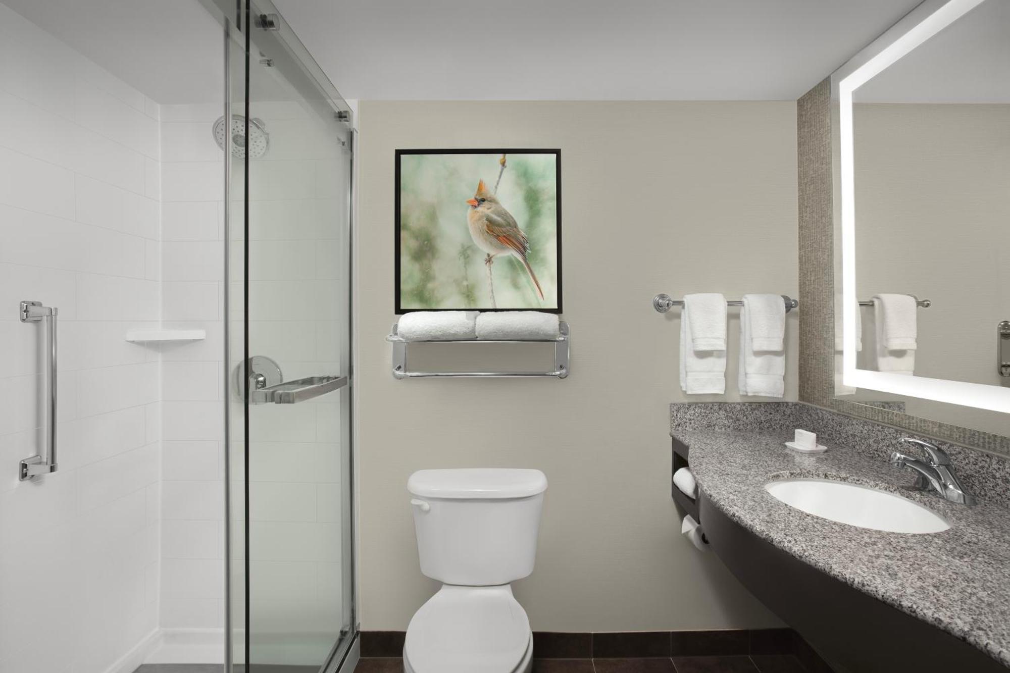 Hilton Garden Inn Хофман Истейтс Екстериор снимка