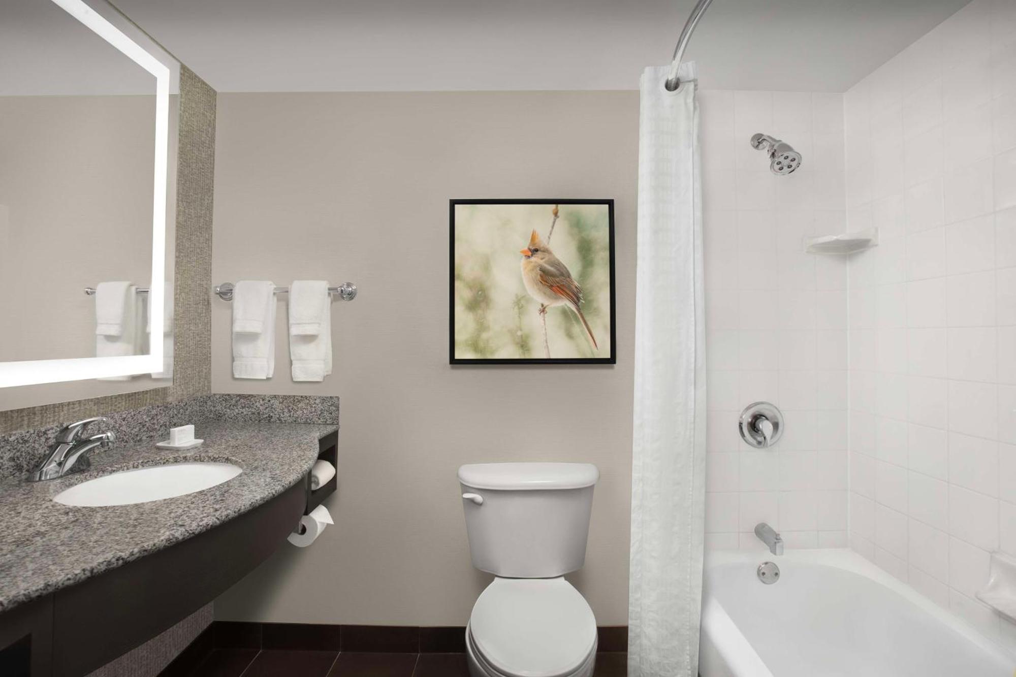 Hilton Garden Inn Хофман Истейтс Екстериор снимка